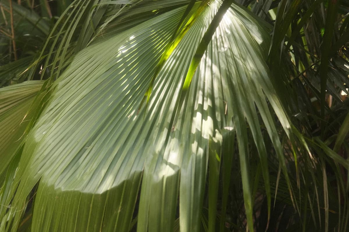 Jo Guerreiro in contemplative moment, representing her trauma-informed approach to somatic sexology and body-based therapy